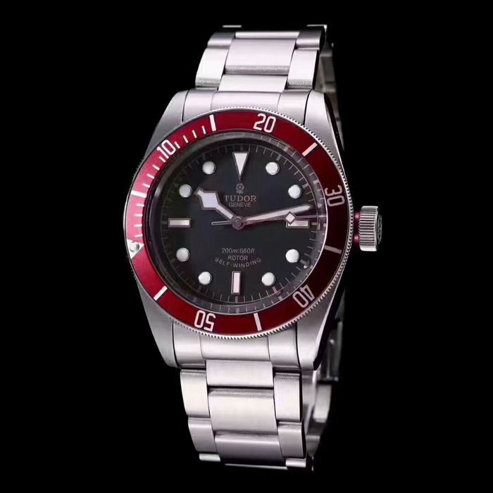 Tudor watch (36)