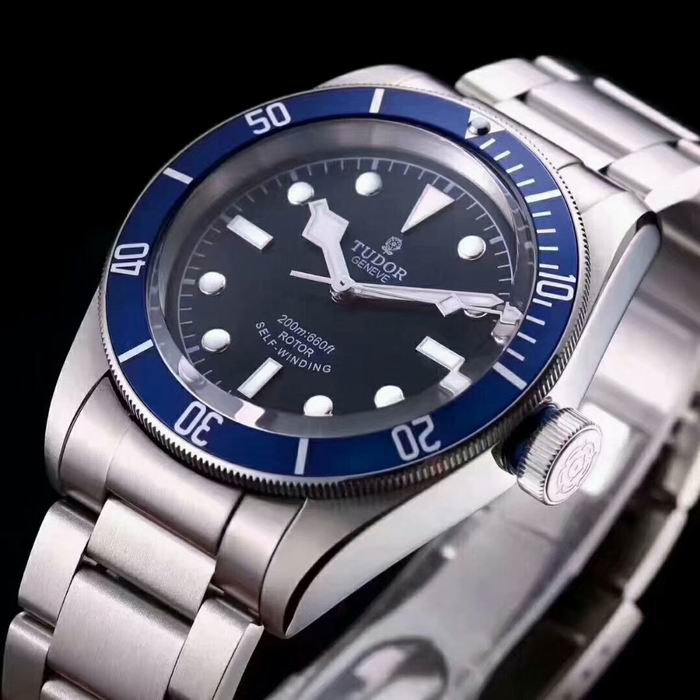 Tudor watch (40)
