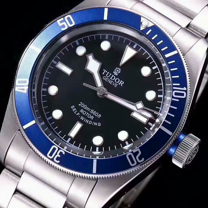 Tudor watch (43)