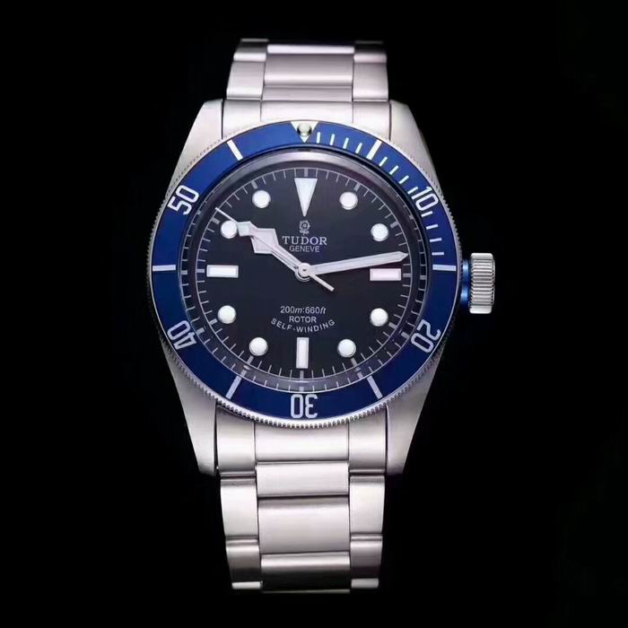 Tudor watch (44)