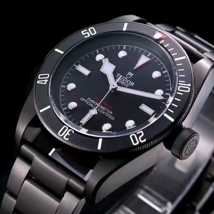 Tudor watch (49)