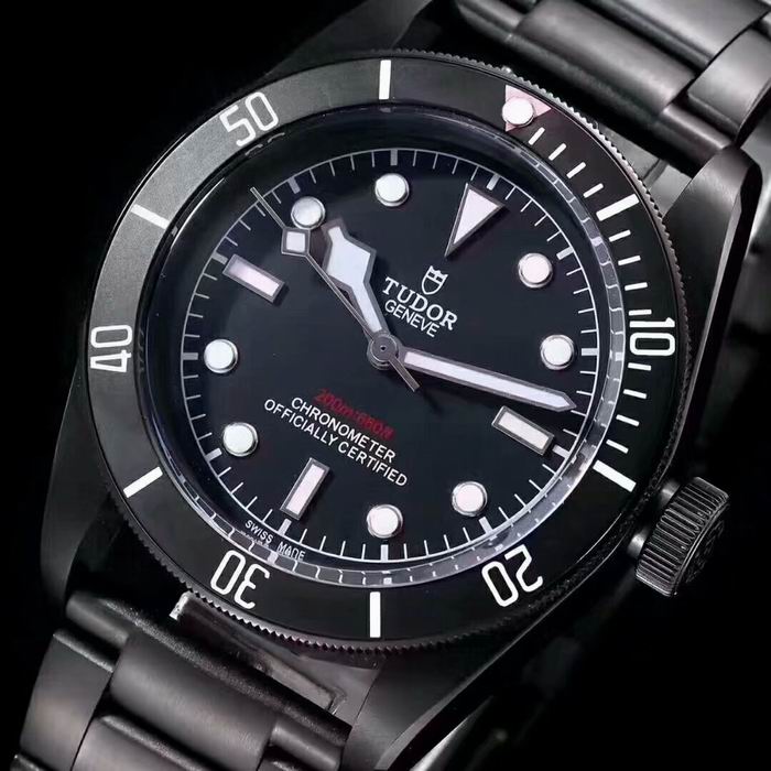Tudor watch (52)