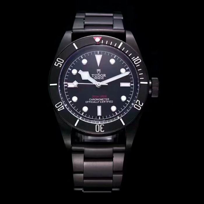 Tudor watch (53)