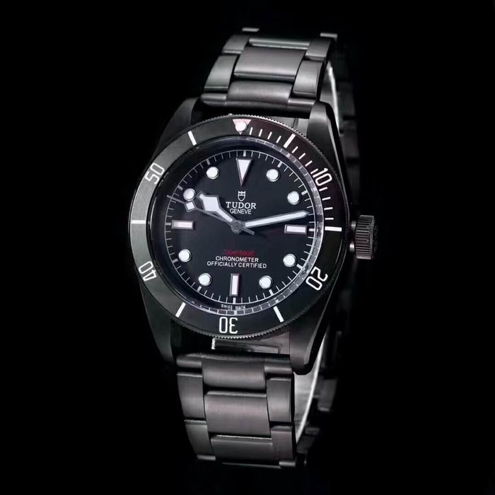 Tudor watch (54)