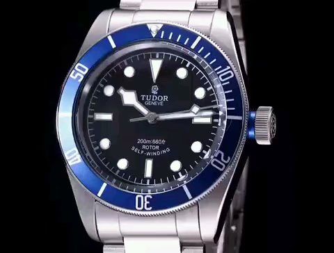 Tudor watch (55)