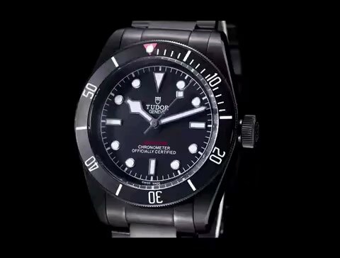 Tudor watch (56)