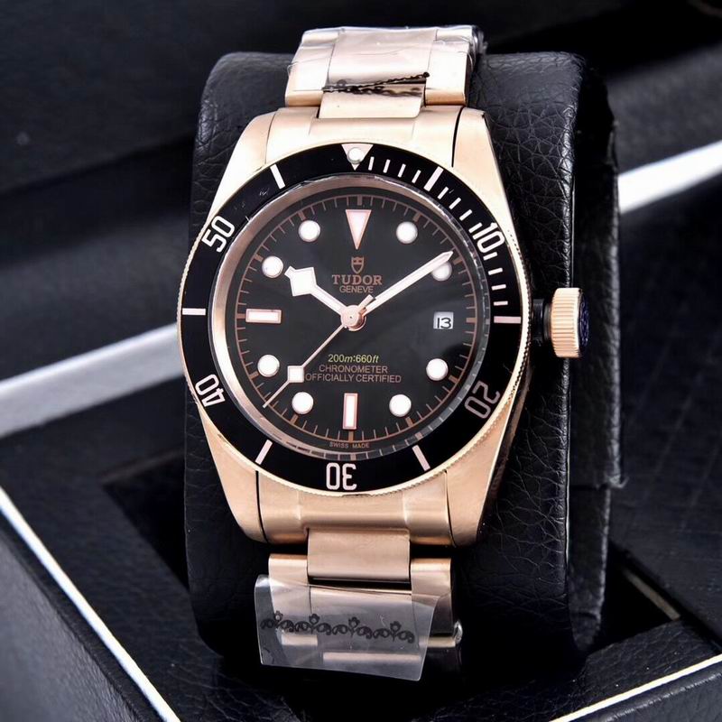 Tudor watch  (10)