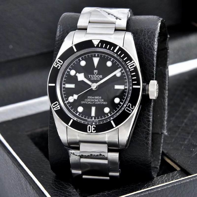 Tudor watch  (11)