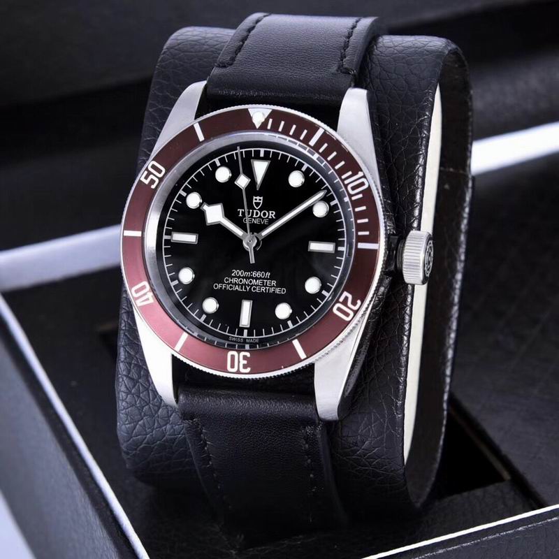 Tudor watch  (13)