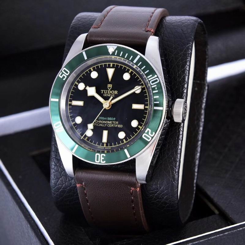 Tudor watch  (19)