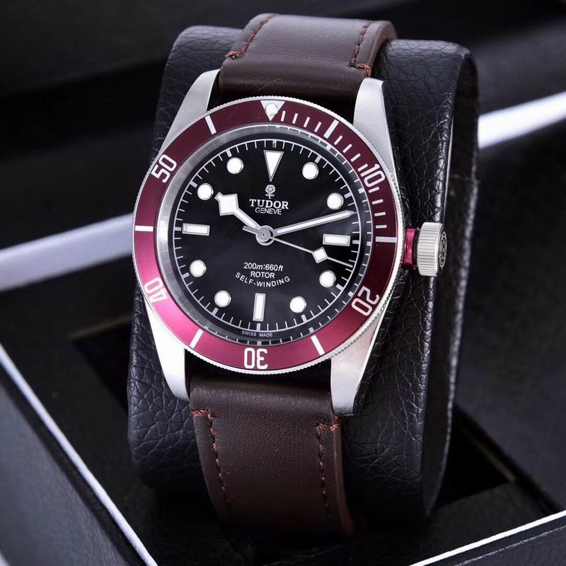 Tudor watch  (21)