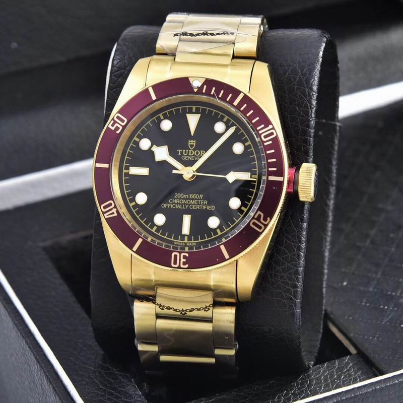 Tudor watch  (22)