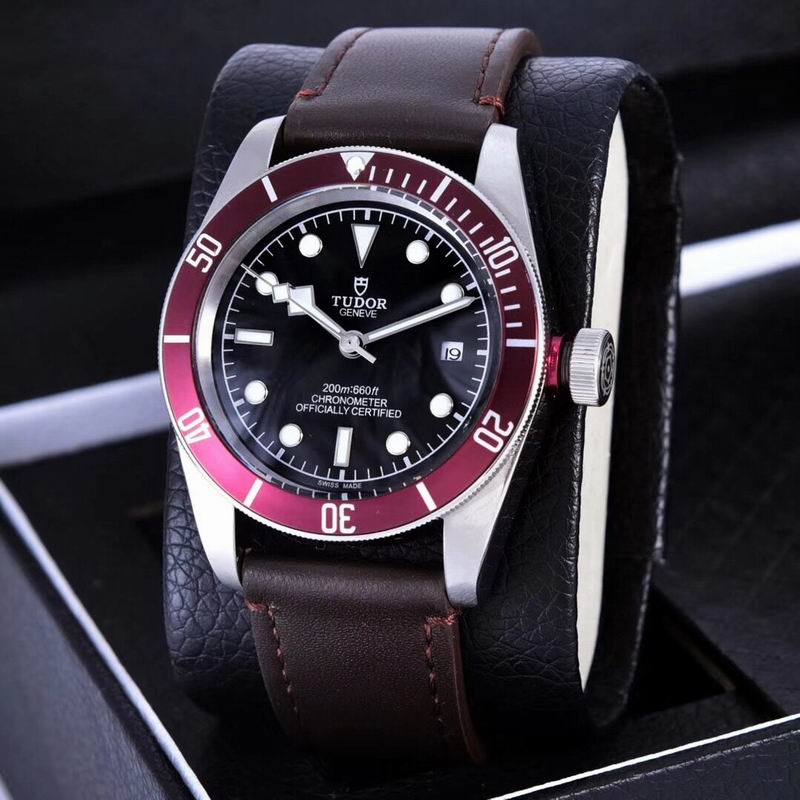 Tudor watch  (24)