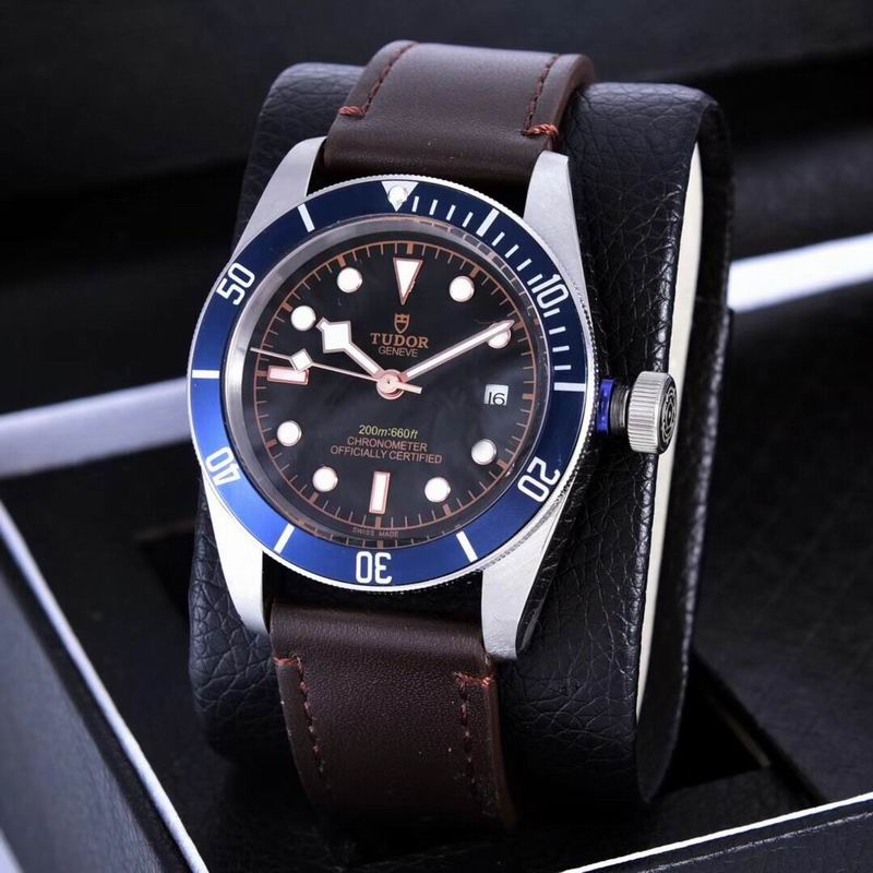 Tudor watch  (25)