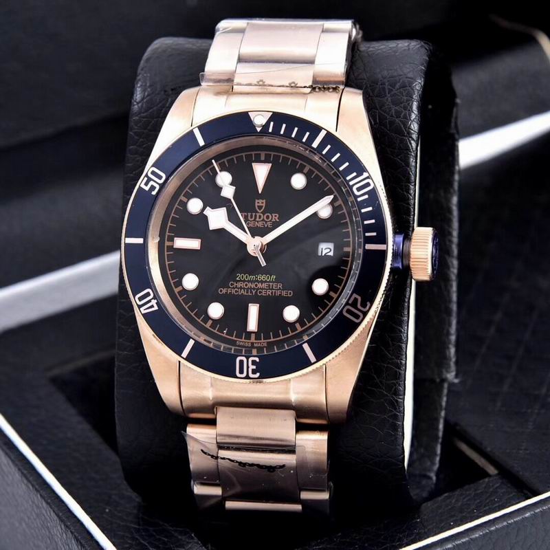 Tudor watch  (26)