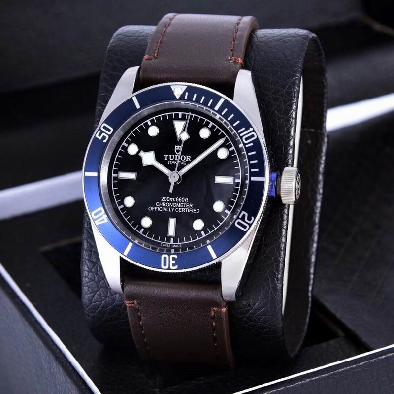 Tudor watch  (28)