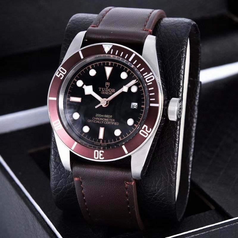 Tudor watch  (29)