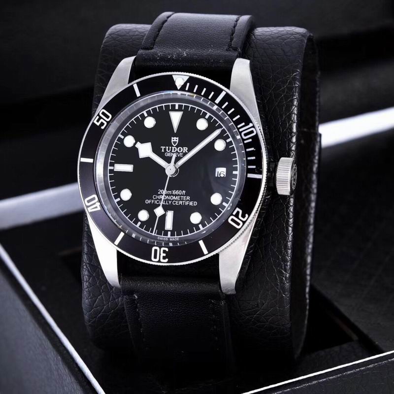 Tudor watch  (30)