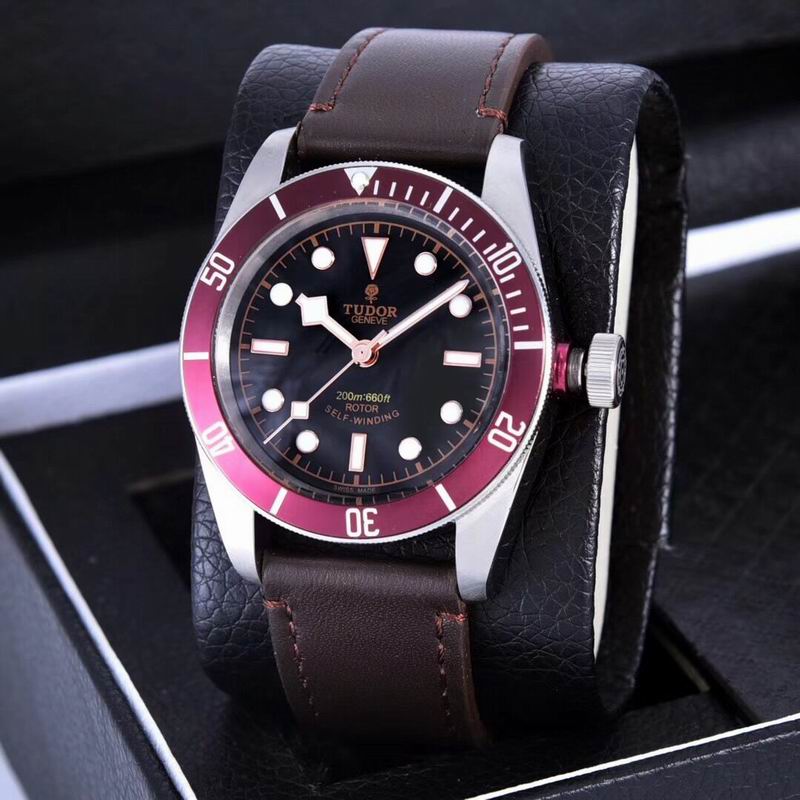 Tudor watch  (31)