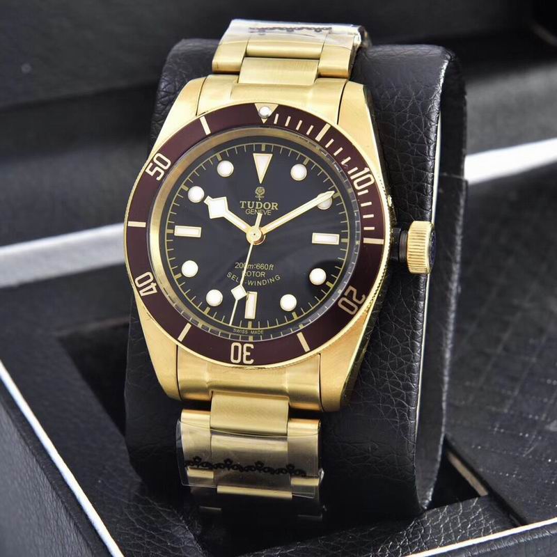 Tudor watch  (34)