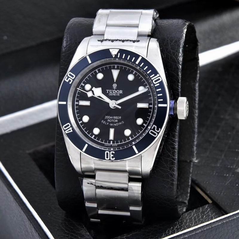 Tudor watch  (36)