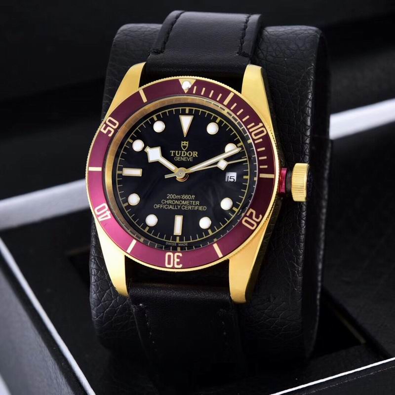 Tudor watch  (38)