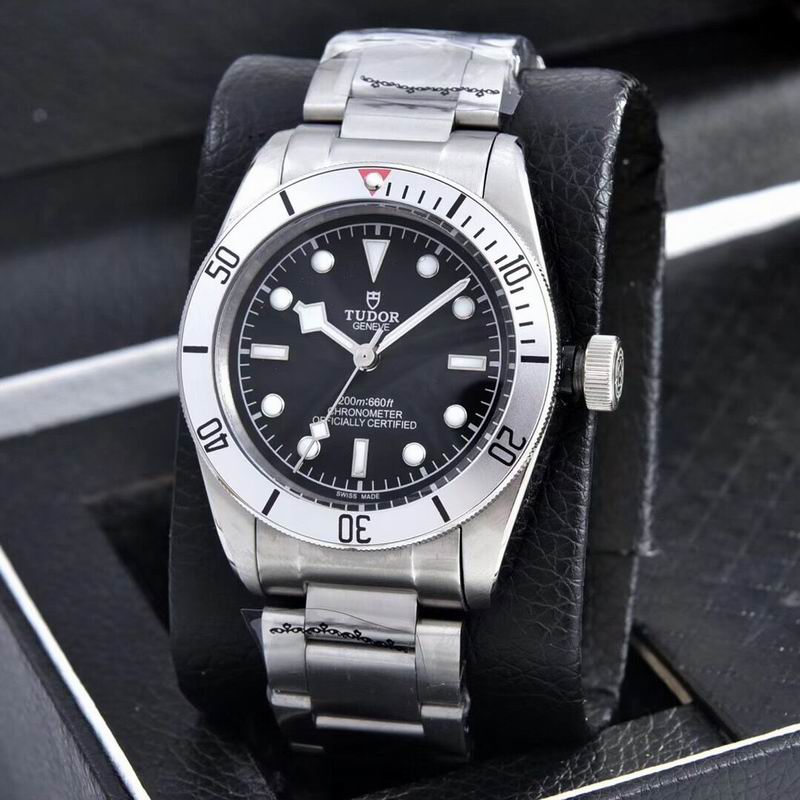 Tudor watch  (39)