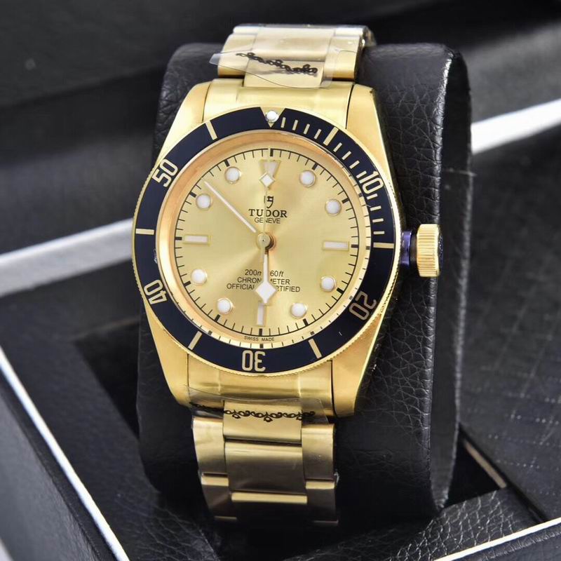 Tudor watch  (4)
