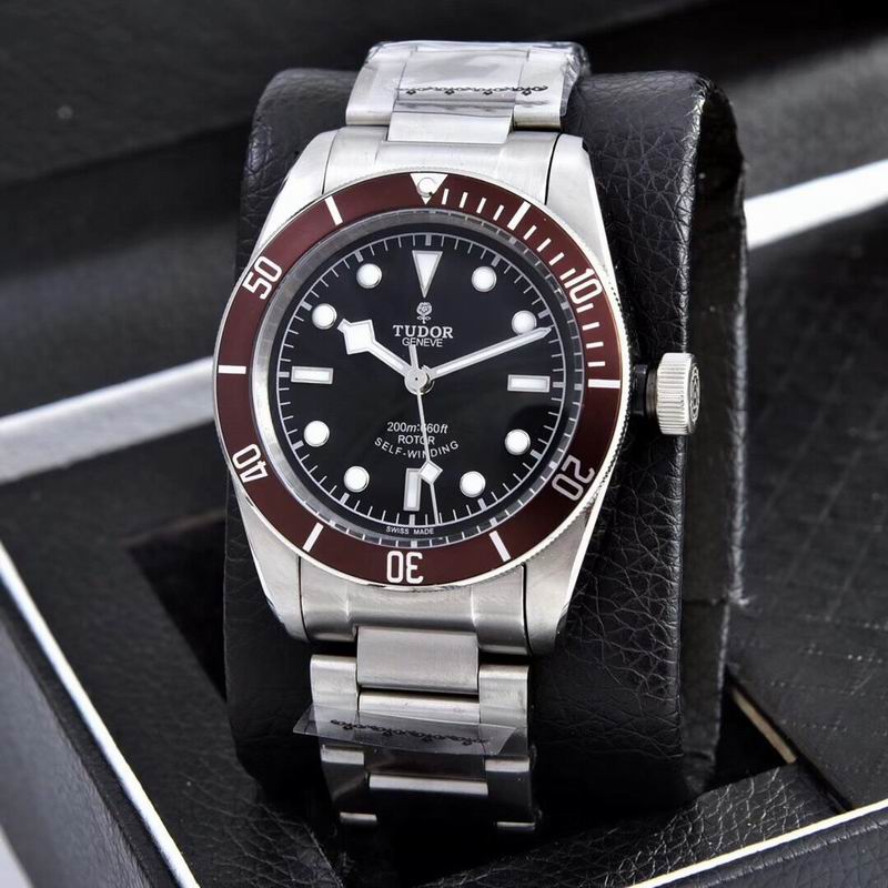 Tudor watch  (40)