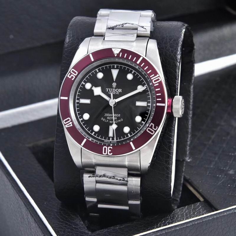 Tudor watch  (41)