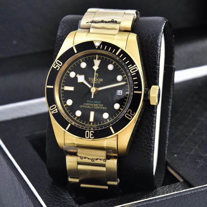 Tudor watch  (42)