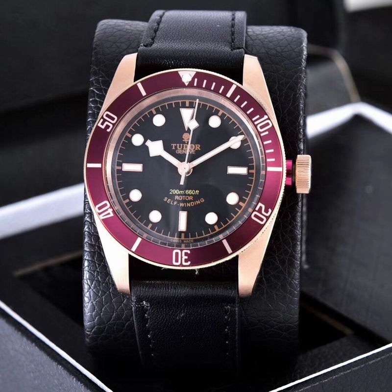 Tudor watch  (8)