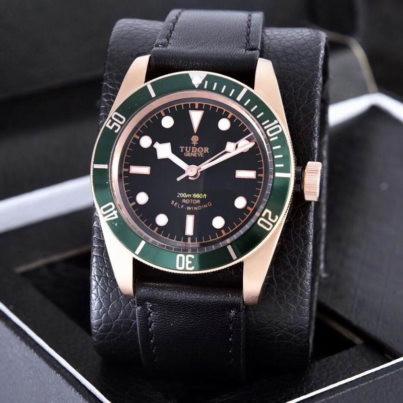 Tudor watch  (9)