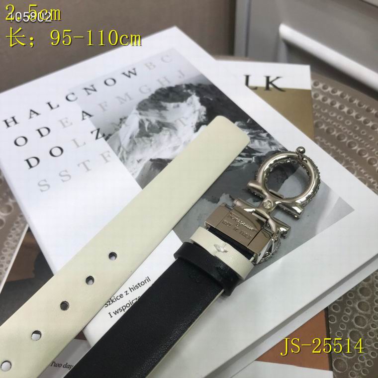 Ferragamo Belt 25mm 95-110cm 8L05 (27)