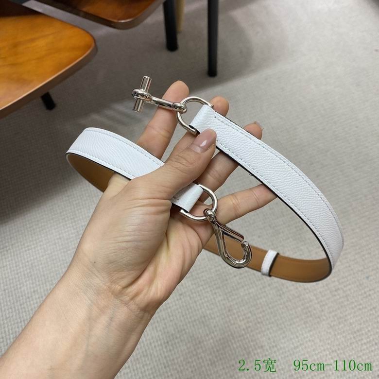 Hermes Belt 24mmX95-110CM 7D (12)