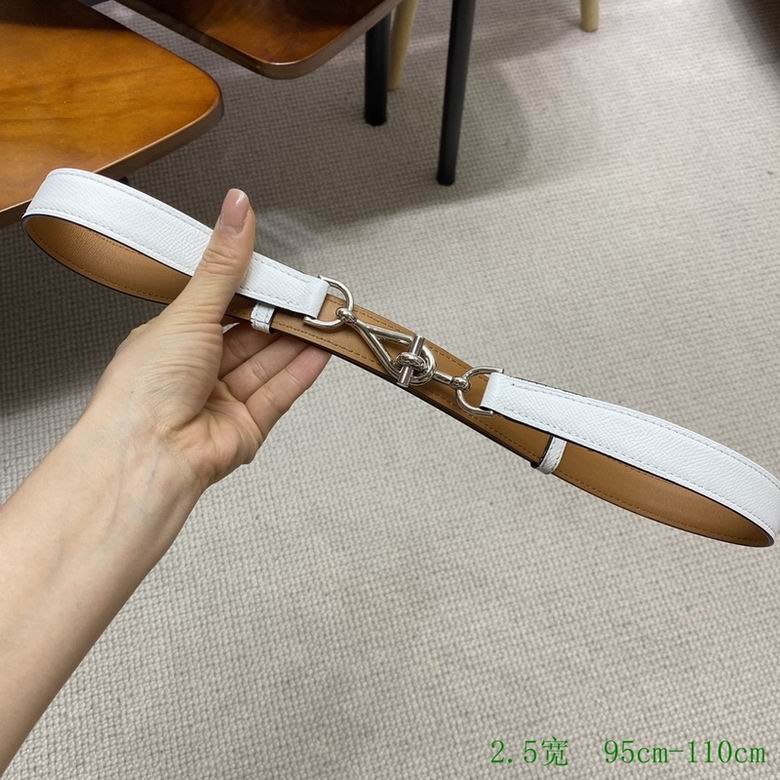 Hermes Belt 24mmX95-110CM 7D (13)