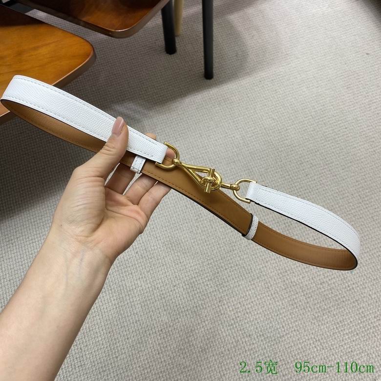 Hermes Belt 24mmX95-110CM 7D (15)
