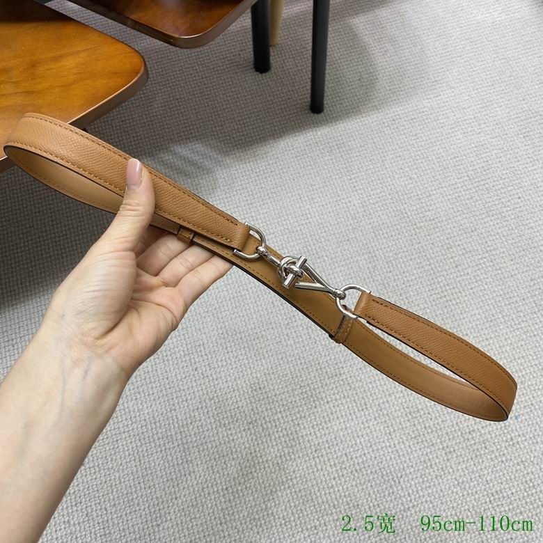 Hermes Belt 24mmX95-110CM 7D (24)
