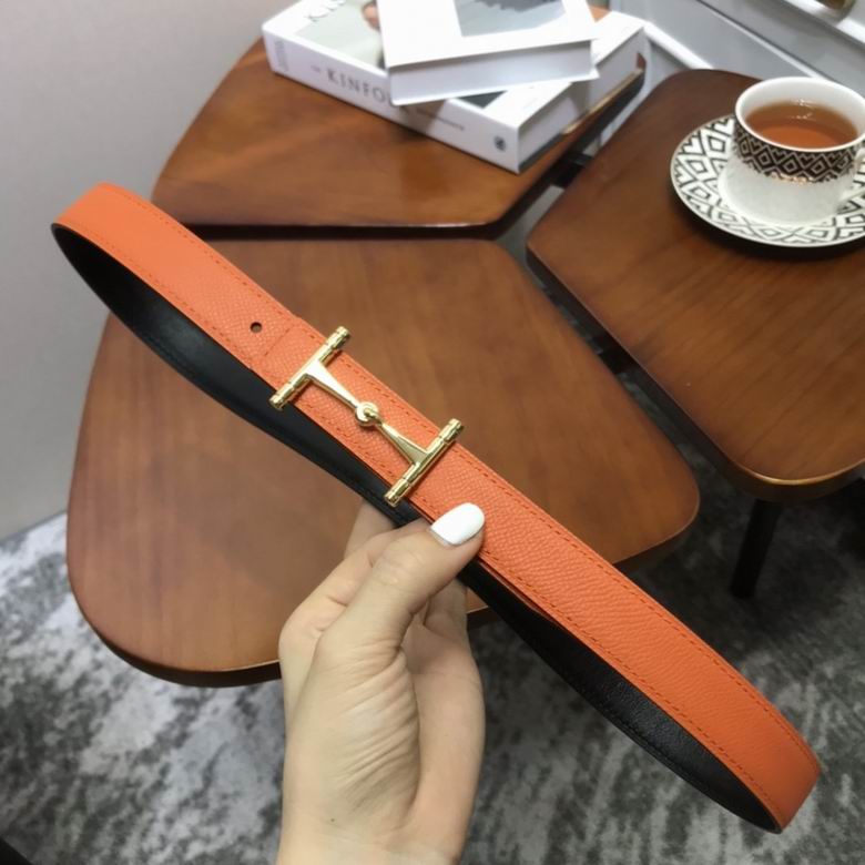 Hermes Belt 24mmX95-110CM 7D (33)