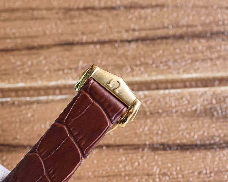 Omega men 39mm 110 (11)