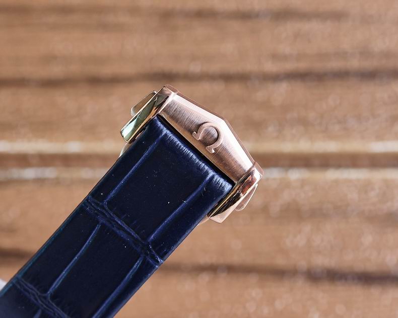 Omega men 39mm 110 (2)