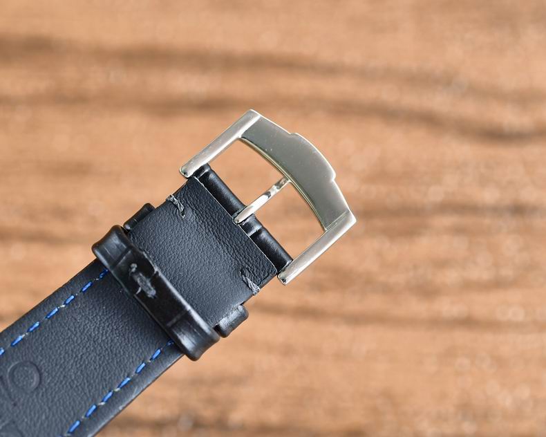 Omega men 42X13mm 110 (10)