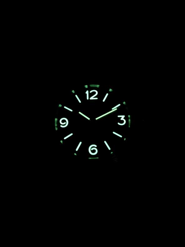 Panerai watch 81 (9)