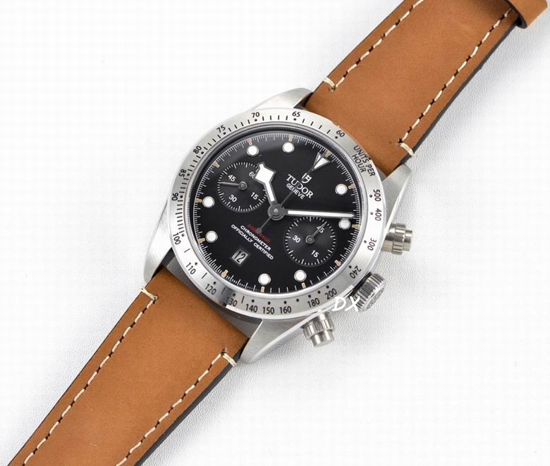 Tudor 41mm 10nms (1)