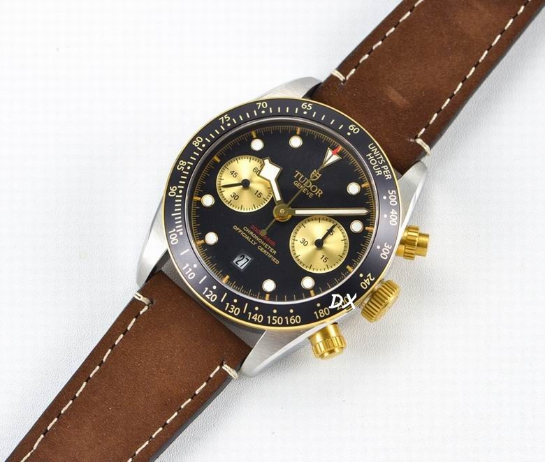 Tudor 41mm 10nms (10)