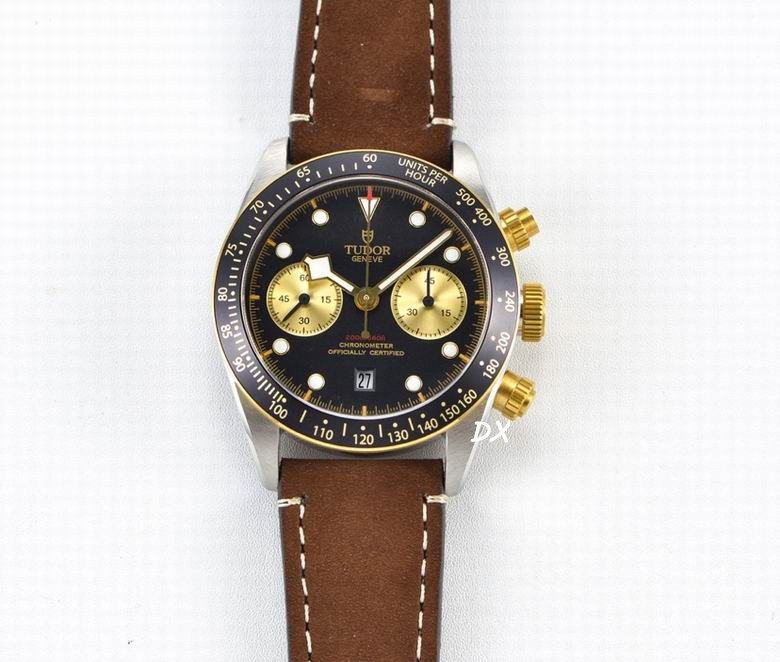 Tudor 41mm 10nms (11)