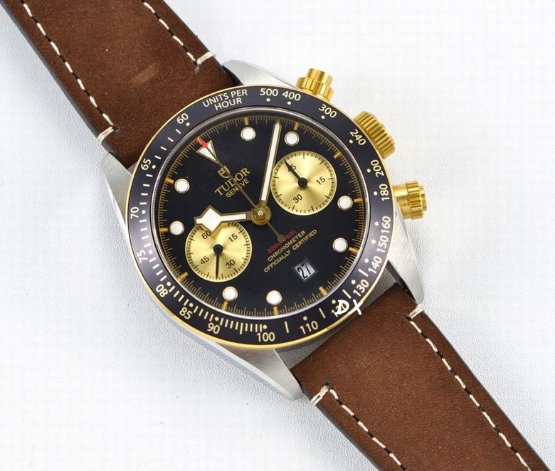 Tudor 41mm 10nms (12)