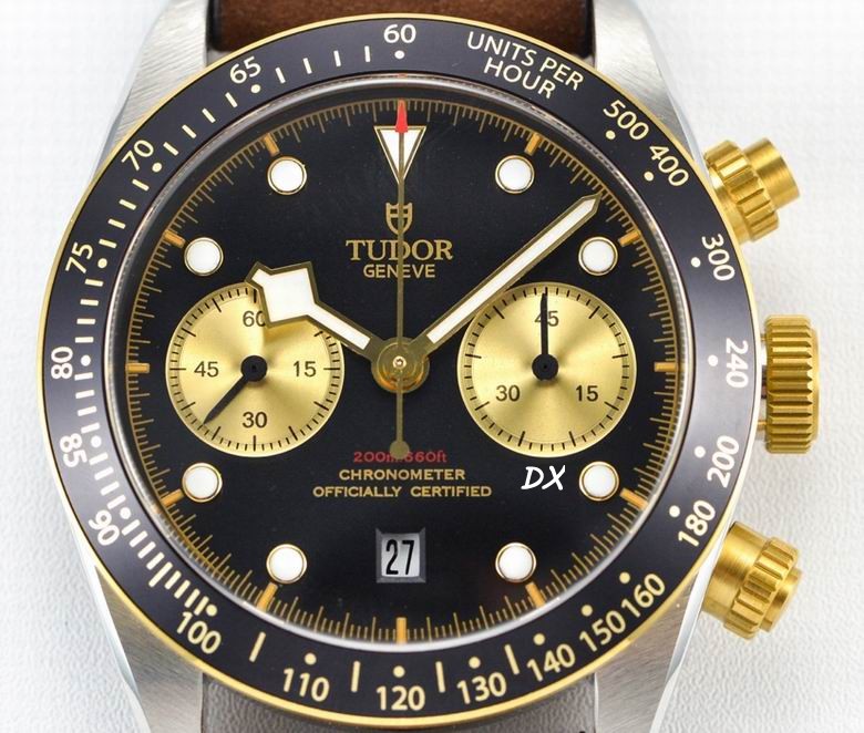 Tudor 41mm 10nms (13)
