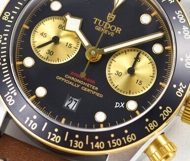 Tudor 41mm 10nms (14)