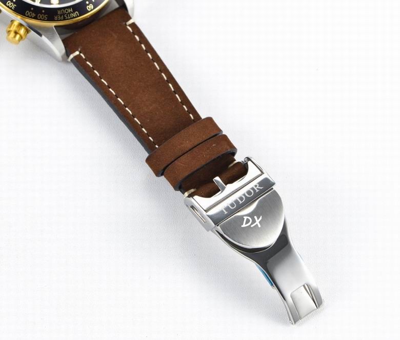 Tudor 41mm 10nms (18)